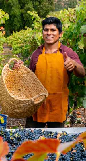 vyfwine-sello-vinos-responsabilidad