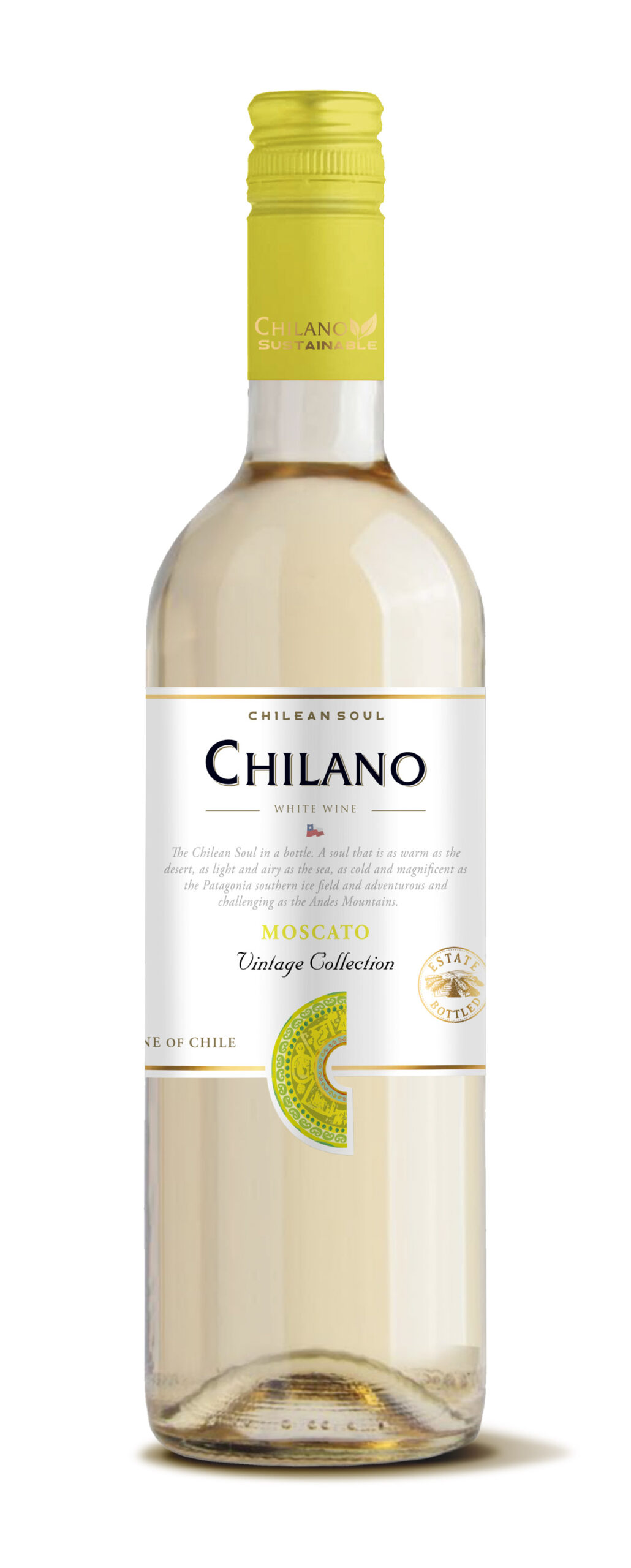 vyf-chilano-moscato