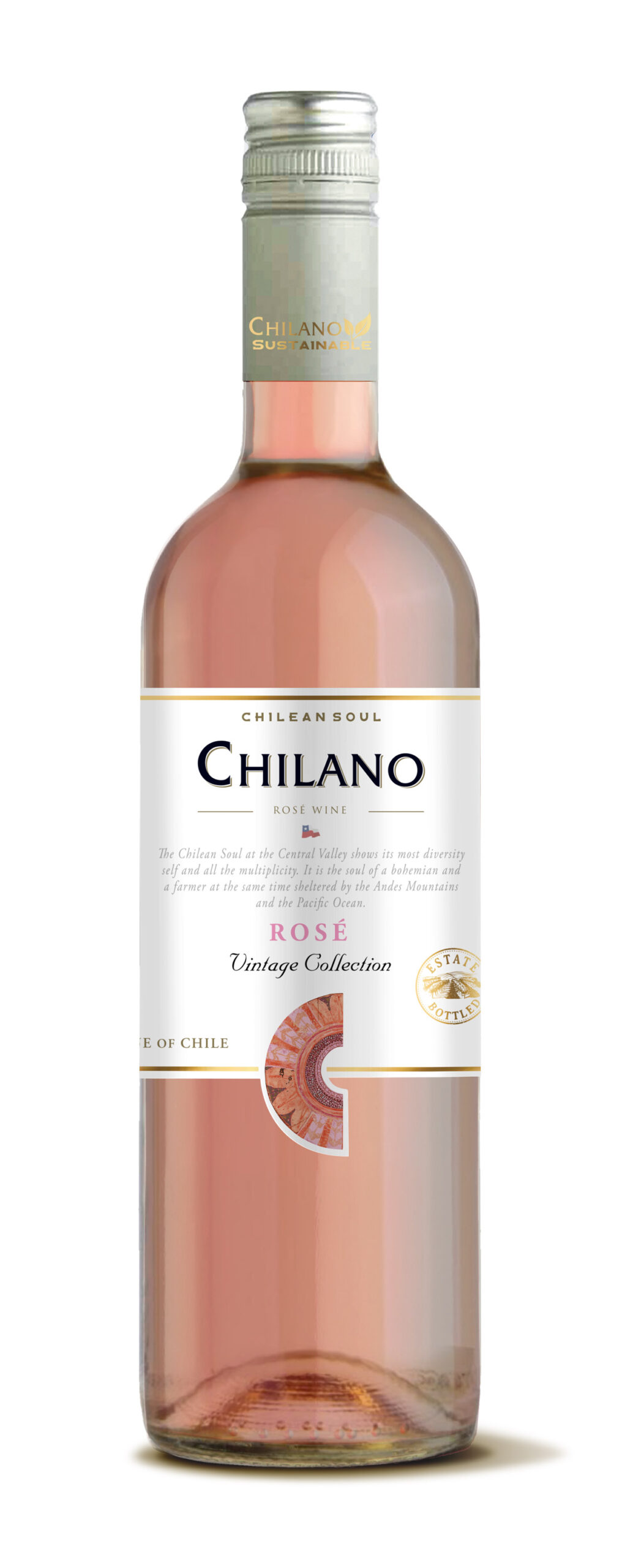 vyf-chilano-rose