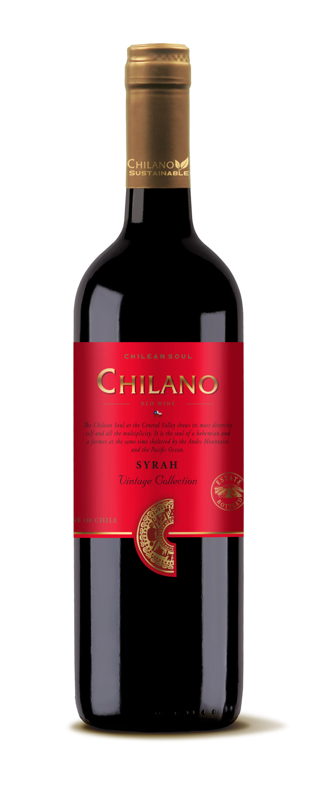 vyf-chilano-syrah