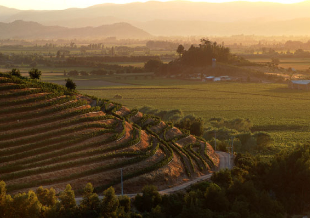 vyf-valle-colchagua-img
