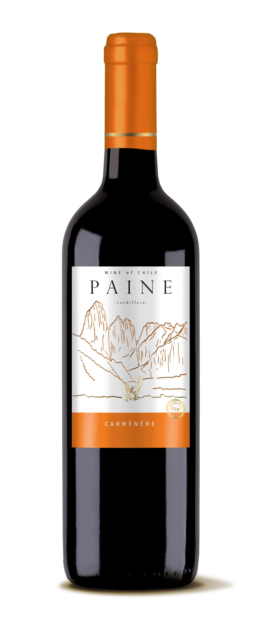 vyf-paine-carmenere