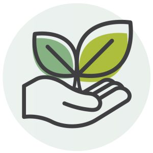 vyf-responsabilidad-img